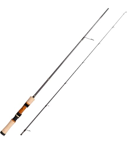 Amazon | パームス(Palms) エゲリアネイティブ パフォーマンス ETVS